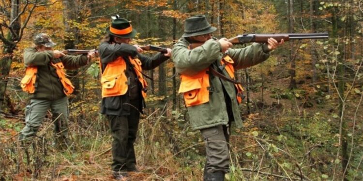 Lovci imaju najstrože obaveze za puške: Ispit, pripravnički staž i odobrenje MUP-a