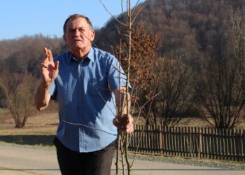 Zasadio šljivu savku kao zavet precima