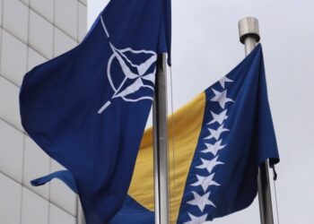 Kožljak: BiH je ispunila sve uslove za članstvo u NATO-u