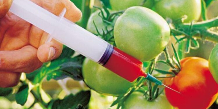 Hoćemo li znati šta jedemo? EU planira ublažiti GMO pravila