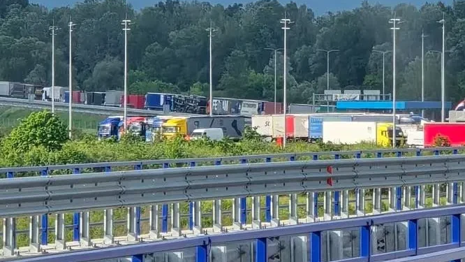 Bh. piletina ne može u Evropu, gubici rastu iz dana u dan