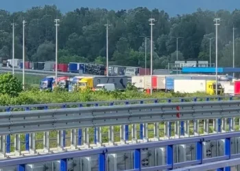 Nova pravila EU pred vratima: Bh. izvoznici moraju dokazati porijeklo sirovina