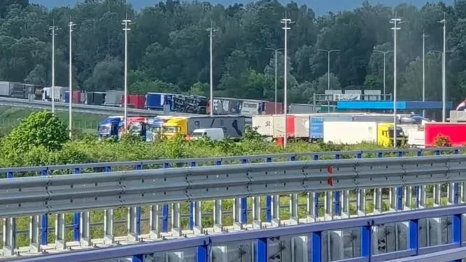 Nova pravila EU pred vratima: Bh. izvoznici moraju dokazati porijeklo sirovina