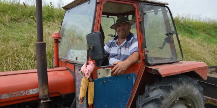 Ranko Barać, poljoprivrednik iz Bok Jankovca nakrivio šešir zbog uroda pšenice, ali nije zbog cijene